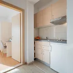 Apartament Lelas *